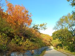 -北京西山国家森林公园