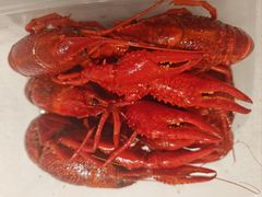 -囍榷·鲜美常州菜(恐龙园店)