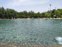 -柳浪游泳场