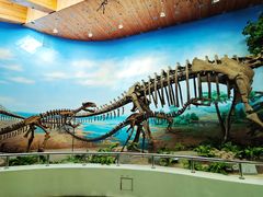 -延庆地质公园博物馆