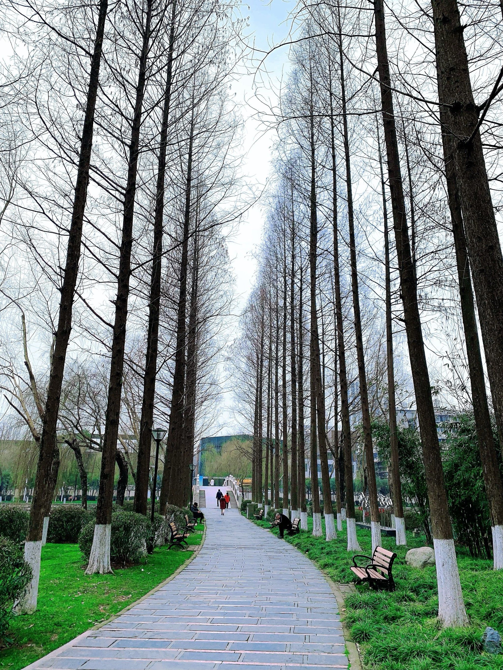 四美塘公园居然变这样❗️