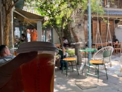 -喵屿·大理花园猫咖