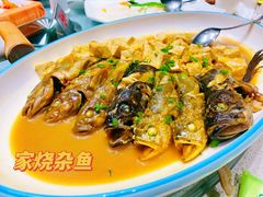红烧杂鱼-郑庄脂渣海鲜楼(九水路店)