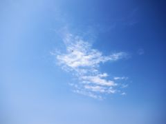 -东疆建设开发纪念公园