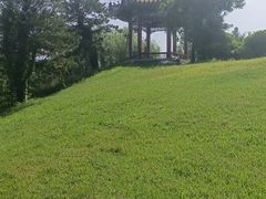 -武清南湖绿博园