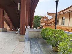 -深圳仙湖植物园