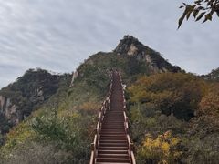 -大岭沟猕猴桃谷风景区