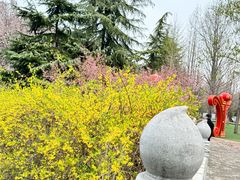 -洛阳市隋唐城遗址植物园