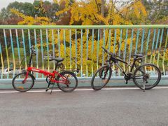 -白鹭湾湿地公园