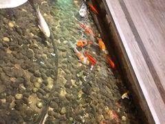 -衡山汇·高级粤菜(霄云路店)