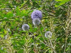 -北京山里寒舍度假酒店