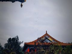 -玉佛苑