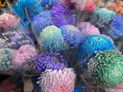 -循礼门鲜花花市(武汉循礼门店)