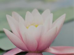 -长沙北辰洲际酒店-兰调全日餐厅