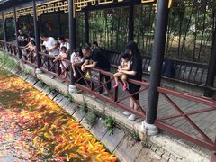 -武汉紫薇都市田园