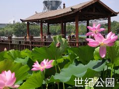 -裕华世纪公园