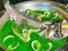 -狮拾久·现代新加坡料理(福田COCO Park店)