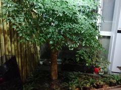 -小隐足道·按摩·主题SPA馆(西红门店)