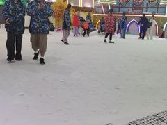 -世界之窗阿尔卑斯冰雪世界