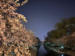 -海棠花溪(元大都城垣遗址公园)