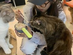 -平行世界·猫咖(首经贸店)