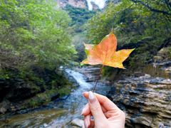-孤山寨风景区