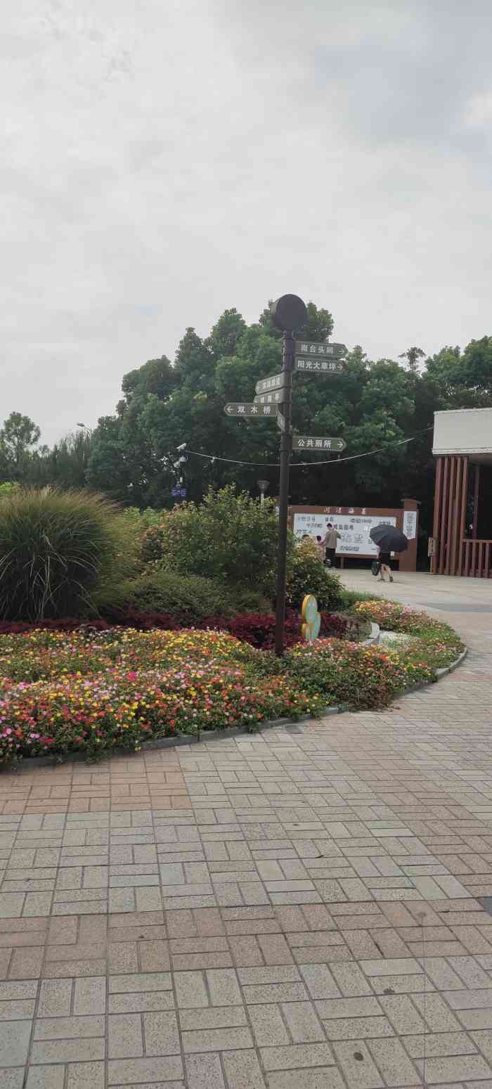 观海园-"免费景点主要是太晒太热了,木桥就没上去."-大众点评移动版