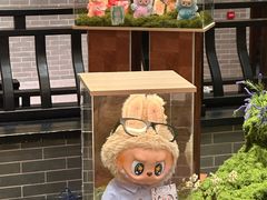 -龙悦湾酒家·八阵鱼生·渔人码头店