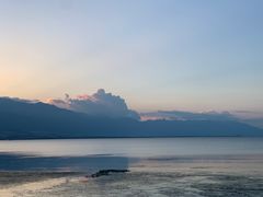 -野菌皇海景野生菌火锅(滨海大道店)