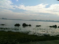 -金鸡湖景区