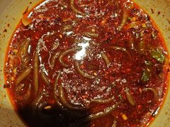 -川正旺江湖菜(三元桥店)