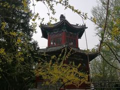 -宣武艺园
