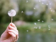 -滇釜火锅·能喝汤的火锅(车公庄店)