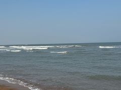-日照海滨国家森林公园