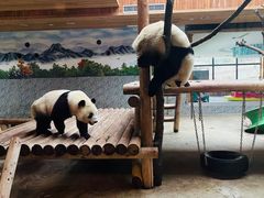 -西安秦岭野生动物园
