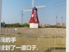 -菊园百果园