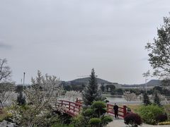 -羊山湖公园