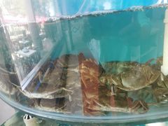 -同道蒸汽海鲜烧烤自助(刘庄夜市店)