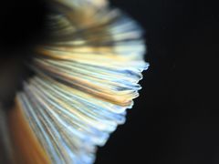 -三旗百汇商品城