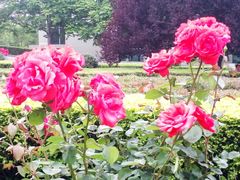 -星美国际影城(蓝湾店)