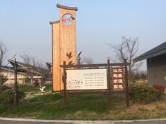 -盐城丹顶鹤湿地生态旅游区