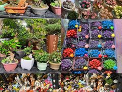 -河坊美食街(河坊街店)