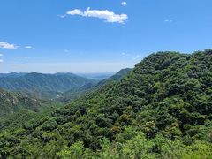 -大岭沟猕猴桃谷风景区