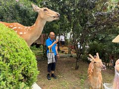 -金沙滩度假村