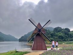 -广州市石门国家森林公园