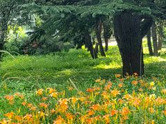 -国家植物园南园