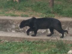 -石家庄市动物园