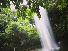 -九龙公园