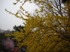 景点-沈阳中山公园