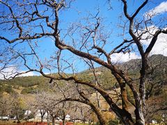 -苍山世界地质公园·石门关大峡谷